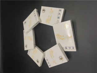 L(zhng)ɳƷbO(sh)Ӌ(j)